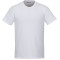 T-shirt ras du cou classique en coton American Giant - Hommes